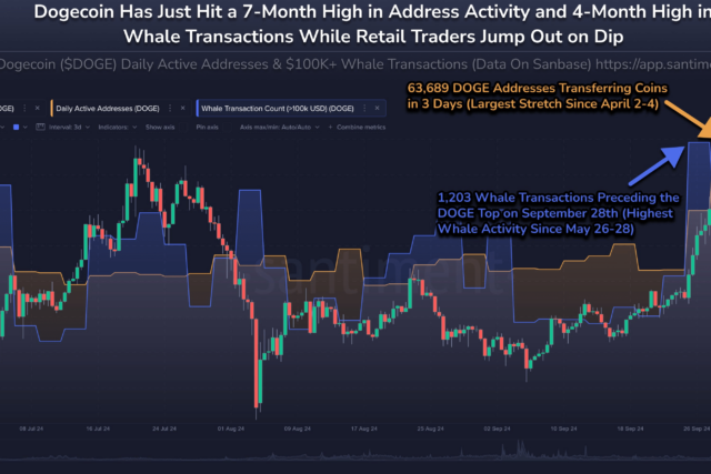 Dogecoin Slides 18% But Whale Activity Suggests Bullish Outlook