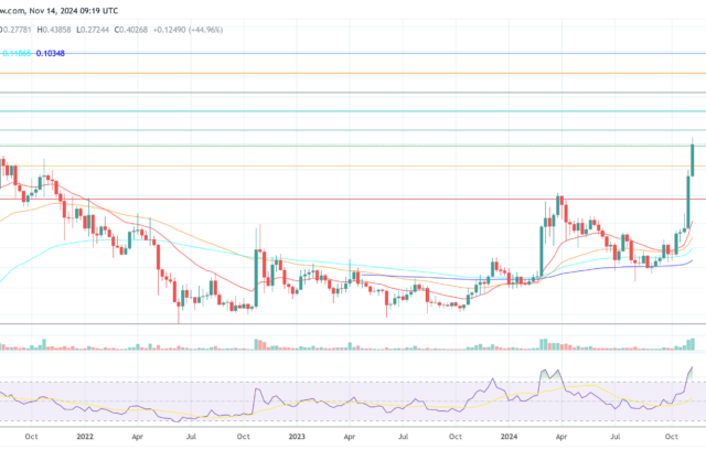 Buy Dogecoin Now Or Wait? Analyst Points To Key Indicator