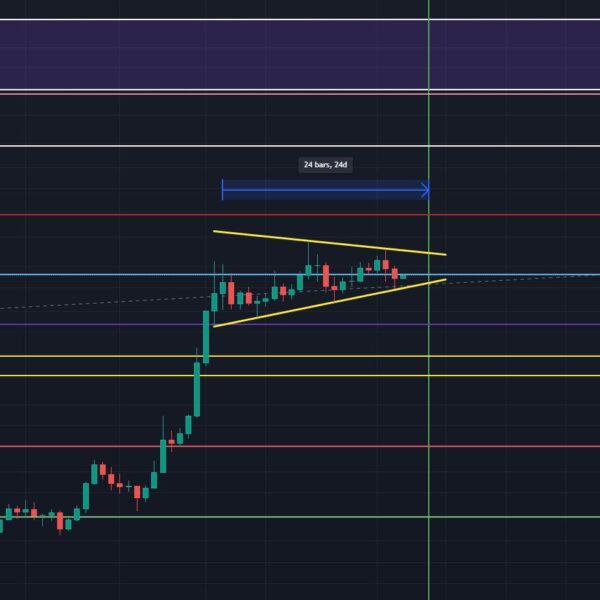 If Dogecoin Mirrors Last Cycle, Surge To $4 Begins At Week’s End