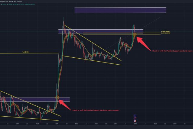 Dogecoin Teeters Between ‘Price Discovery’ And ‘Catastrophe’