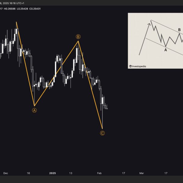 Is Dogecoin Hugely Undervalued? Analyst Says ‘Now Is The Time’