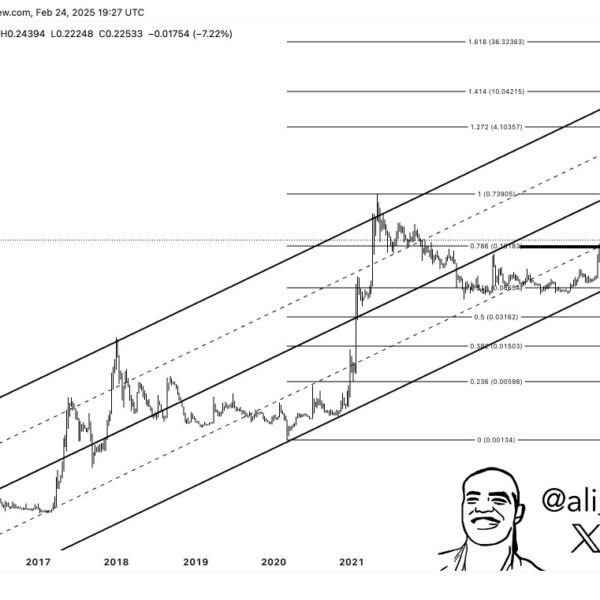 If Dogecoin Falls Below This Level, A Freefall To $0.06 Is Possible