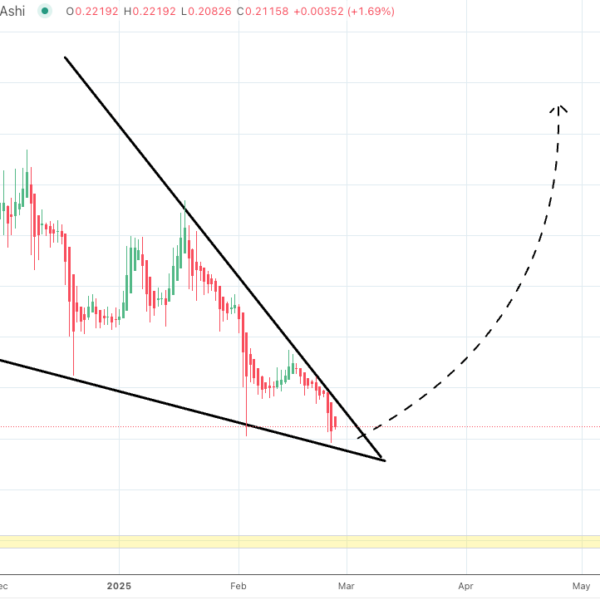 Dogecoin Forms ‘Monster Falling Wedge’ Pattern: What It Means