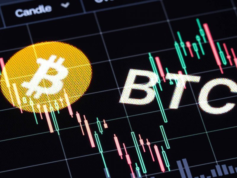 ‘Palooza in Cryptoland:’ Bitwise predicts ETF surge as bitcoin falls
