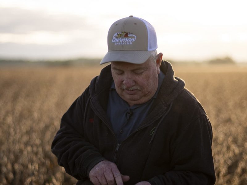 China is drowning in soybeans. U.S. farmers are drowning in frustration