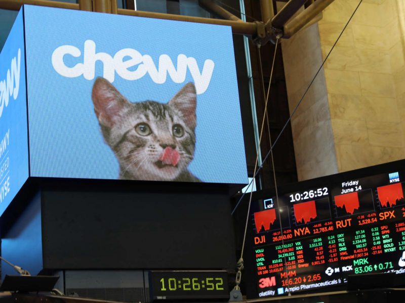 Chewy CEO talks strategy for ’emotive’ pet category after earnings beat