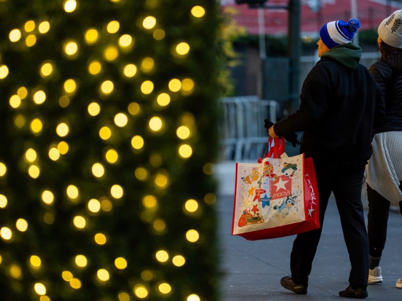 Strong holiday sales defy weak consumer sentiment