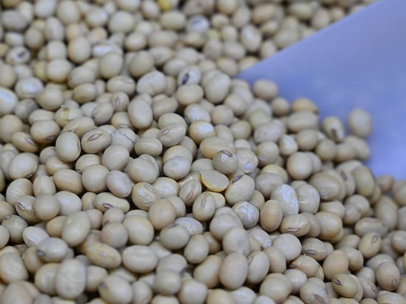 U.S.-China soybeans reveals food security goals. Goldman Sachs plays