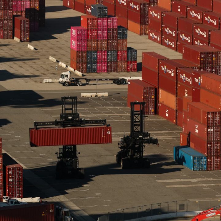 Trump trade war frontloading creating a “mirage” in trade: maritime expert