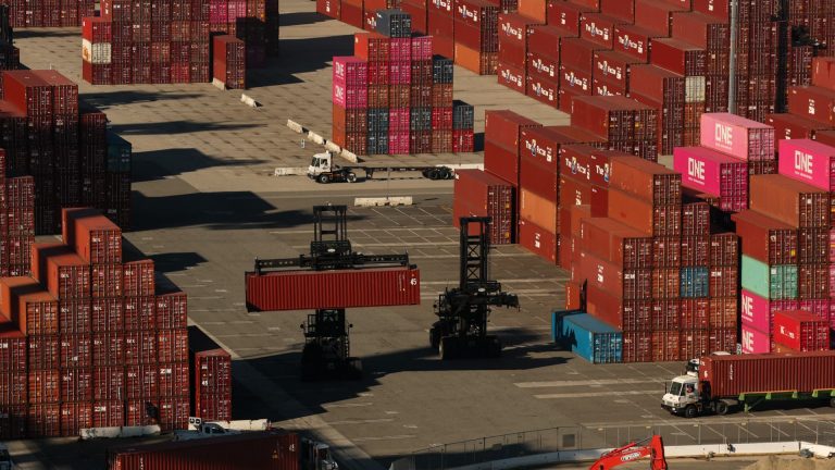 Trump trade war frontloading creating a “mirage” in trade: maritime expert