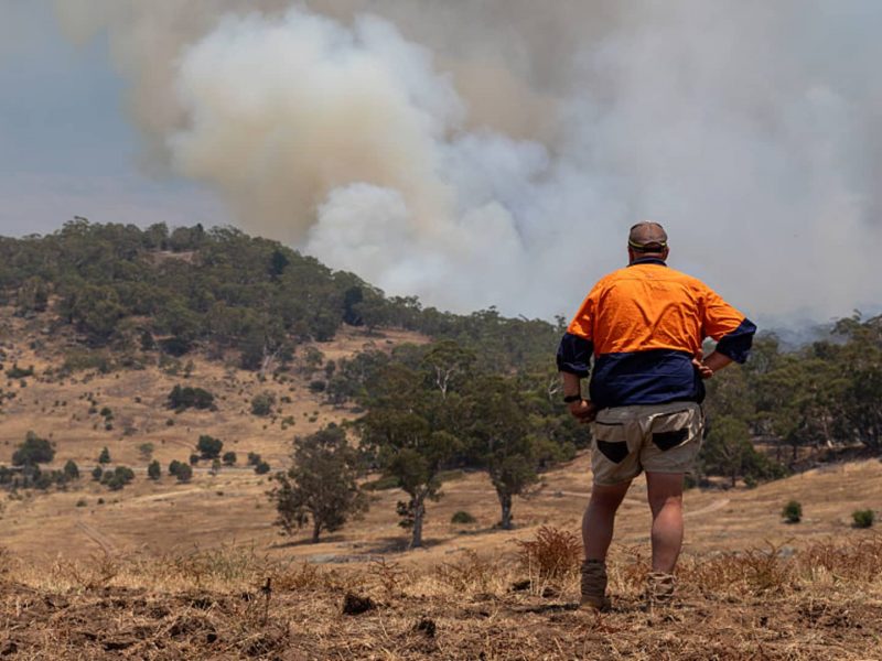 Why the catastrophe bond market is so hot right now